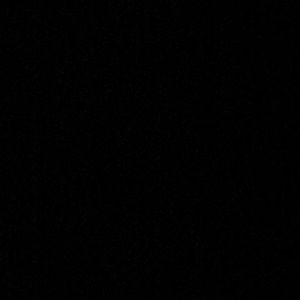 Meet your Posher, Ariana